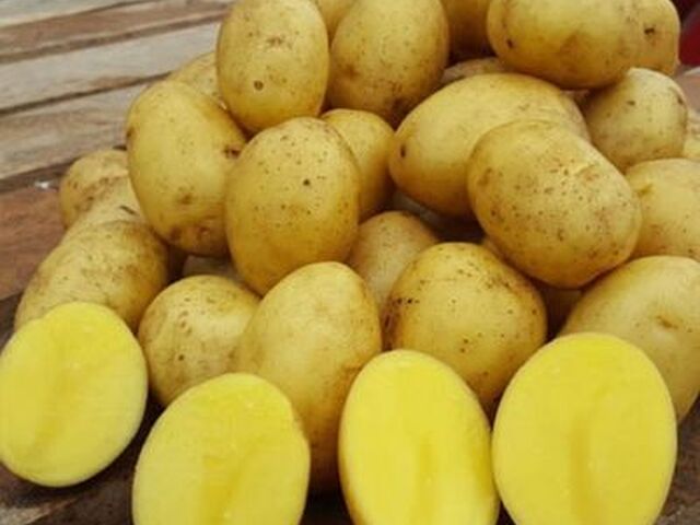 Овощи оптом с ежедневной отгрузкой из Алтайского края